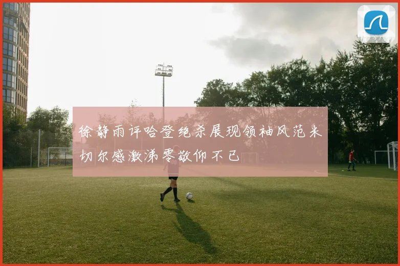 徐静雨评哈登绝杀展现领袖风范米切尔感激涕零敬仰不已