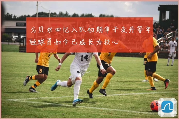 戈贝尔回忆入队初期华子麦丹等年轻球员如今已成长为核心